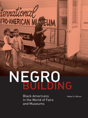 cover image of Negro Building
